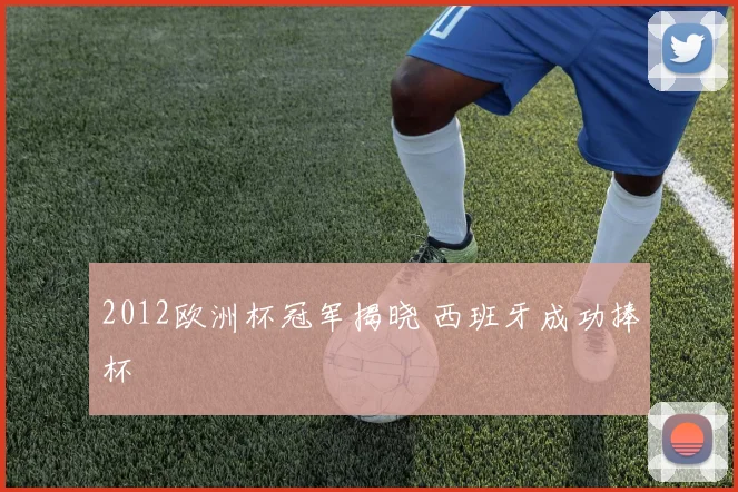 2012欧洲杯冠军揭晓 西班牙成功捧杯
