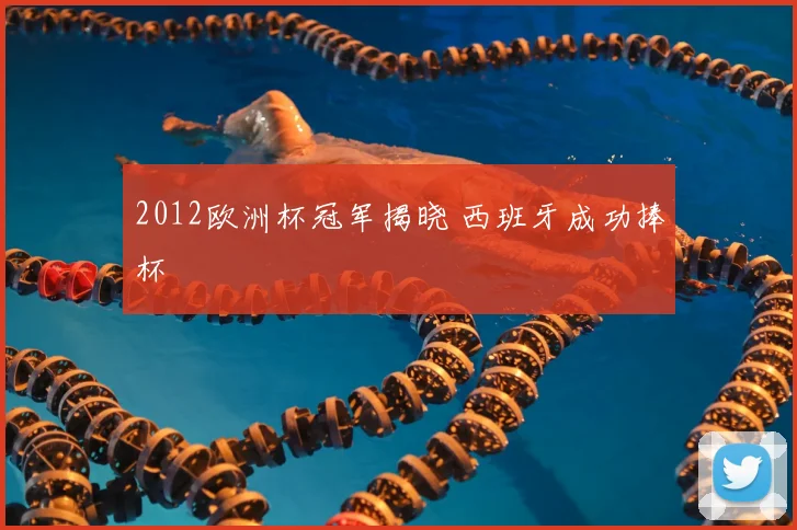 2012欧洲杯冠军揭晓 西班牙成功捧杯