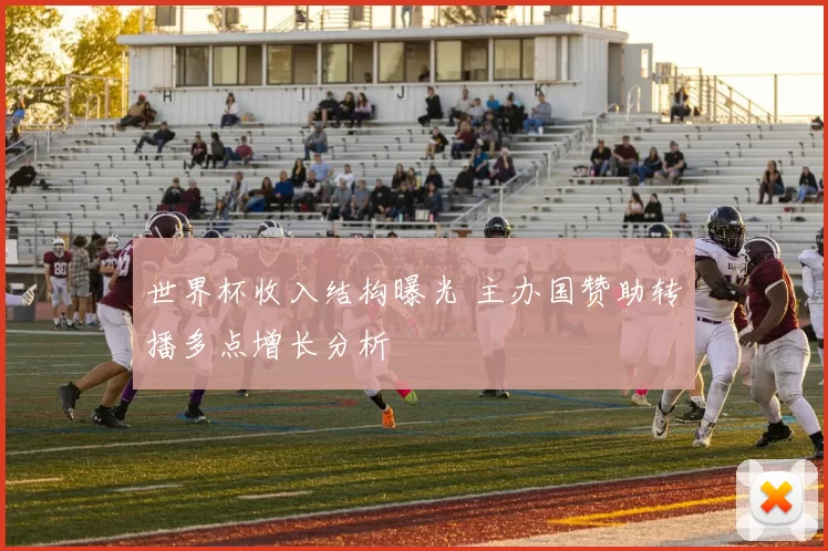 世界杯收入结构曝光 主办国赞助转播多点增长分析