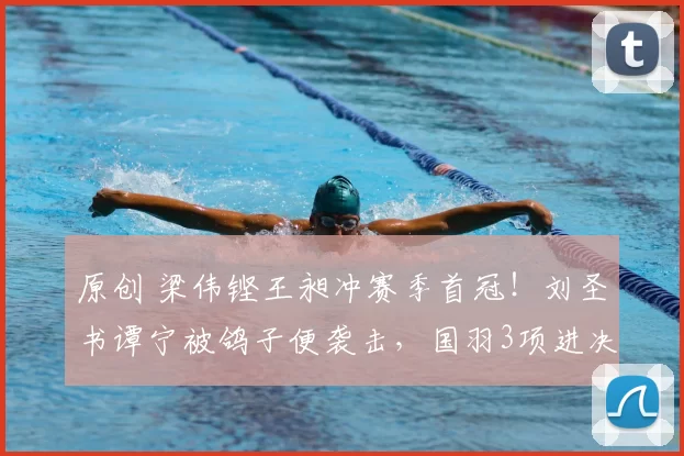 原创 梁伟铿王昶冲赛季首冠！刘圣书谭宁被鸽子便袭击，国羽3项进决赛