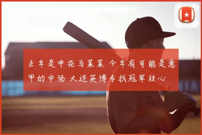 去年是申花马莱莱 今年有可能是意甲的中场 大连英博专找冠军核心
