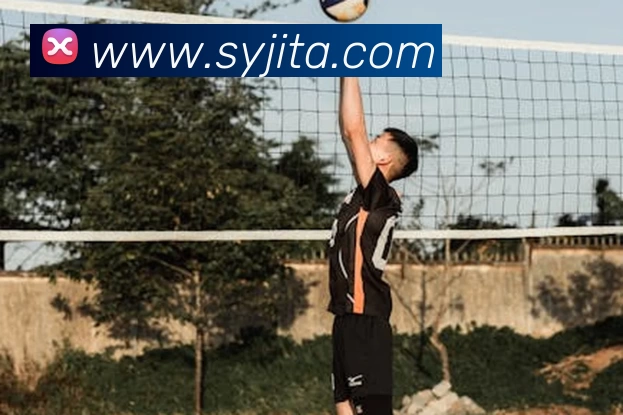 App Interface Preview